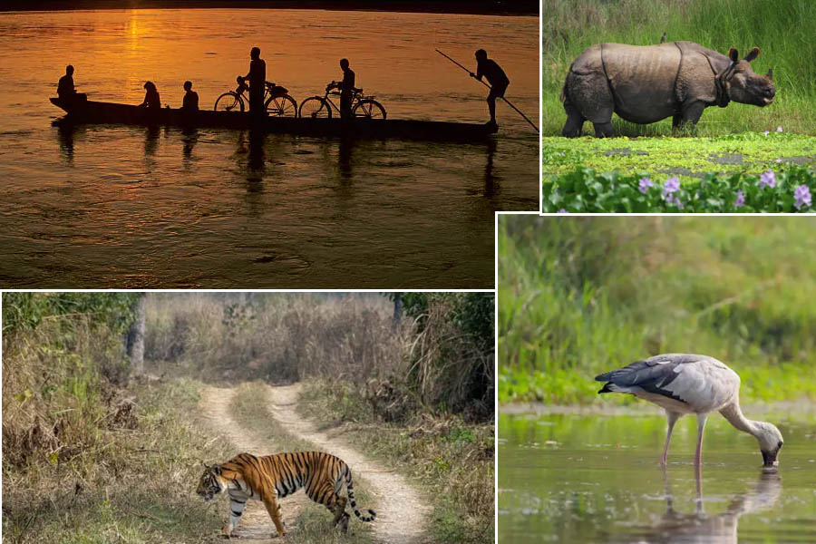 Chitwan Festival, running from December 10 to January 15, is set to promote both agriculture and tourism in the region