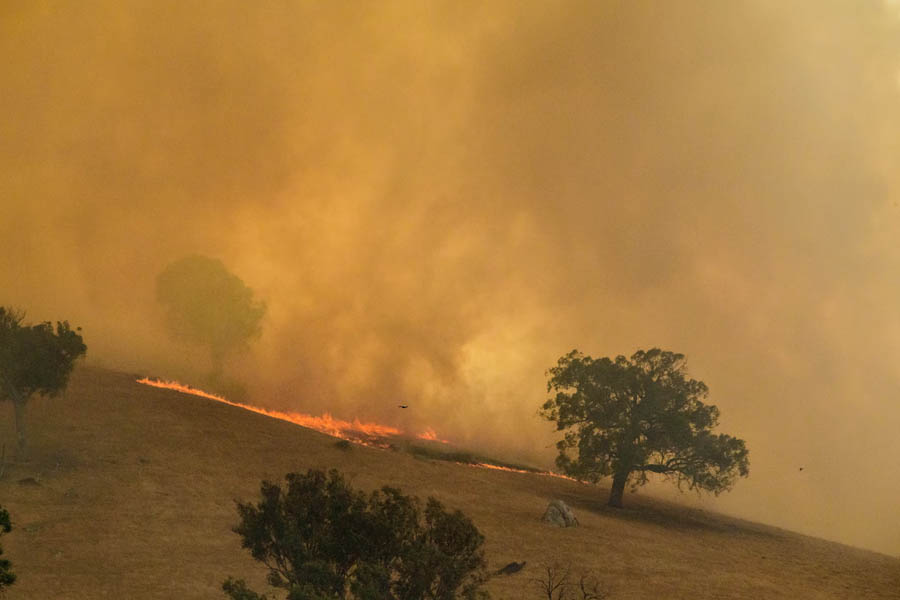 Low grass fire burning across a hillside with heavy smoke covering the landscape during bushfire conditions in Victoria, Australia.